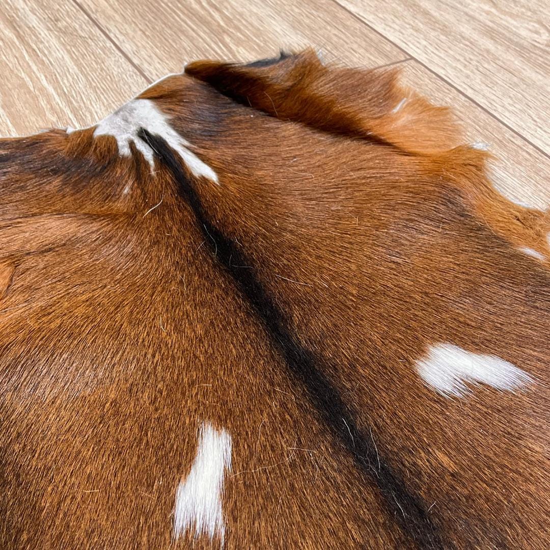 Handmade Brown Goatskin Rug: Scandinavian Home Decor (16x17 in - BuzzLeatherCarpetHandmade Brown Goatskin Rug: Scandinavian Home Decor (16x17 in